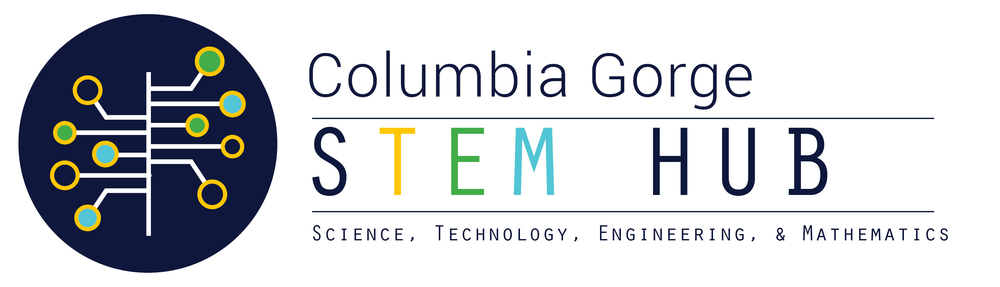 STEM Hub Logo with circuit board